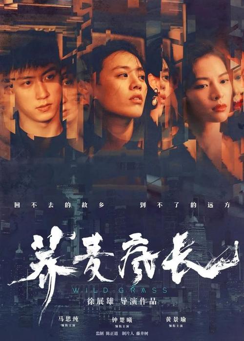 普兹茅斯大学公共管理文凭证书
